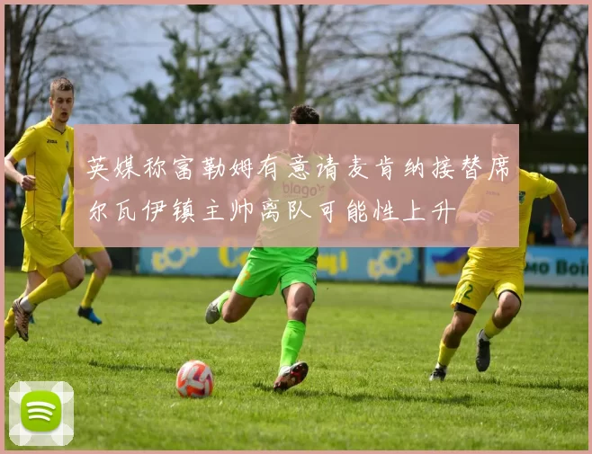 英媒称富勒姆有意请麦肯纳接替席尔瓦伊镇主帅离队可能性上升
